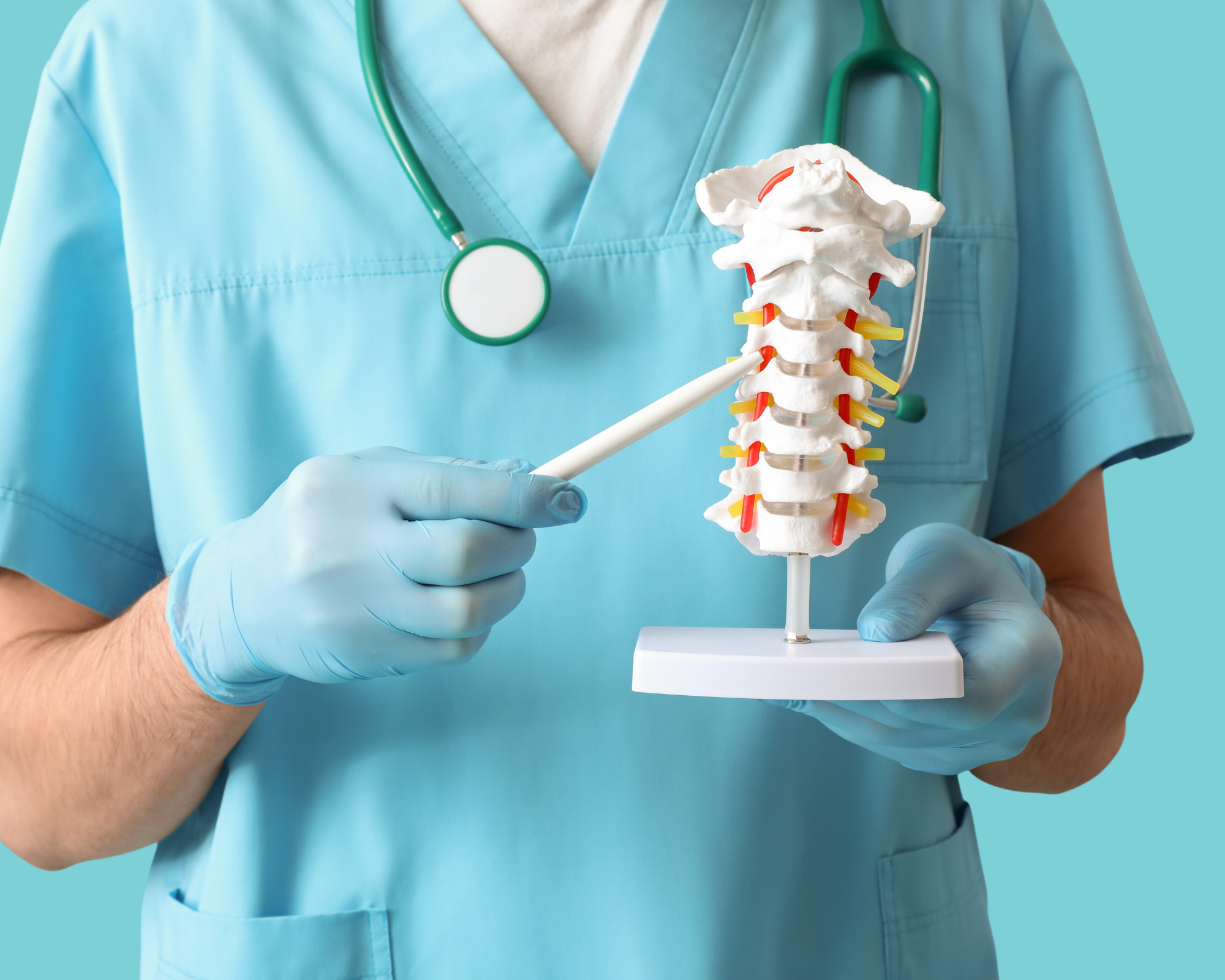 Anatomía de la columna lumbar y nervio ciático